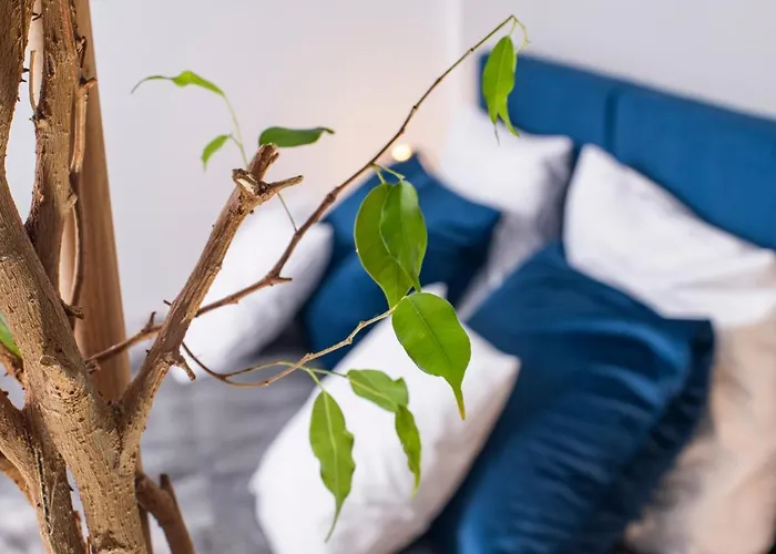 Rodzinne Apartamento